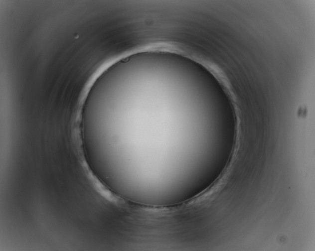 X0000101400816200807071028