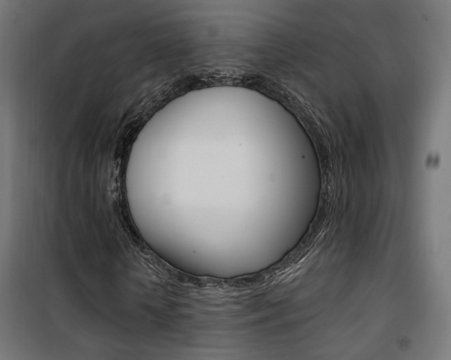 X0000101400818200807071027