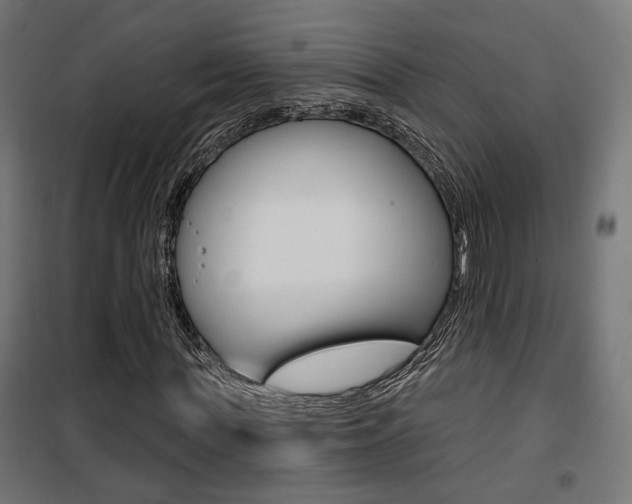 X0000101400819200807071027