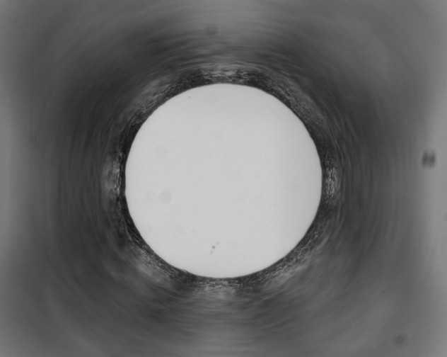 X0000101400820200807071027