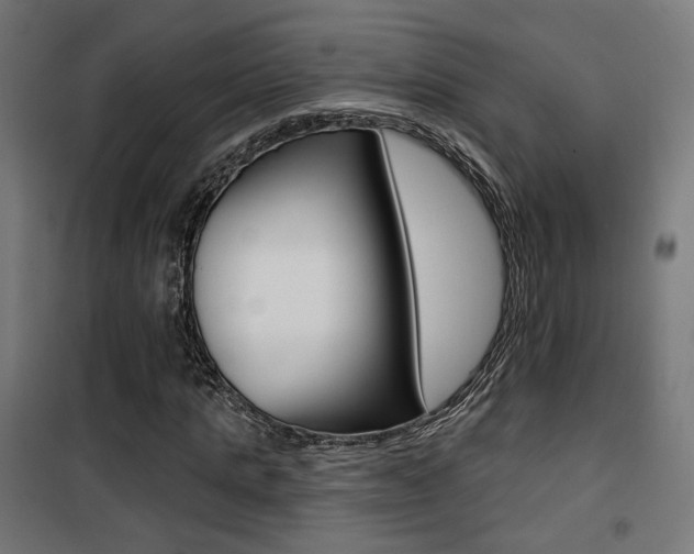 X0000101400821200807071027