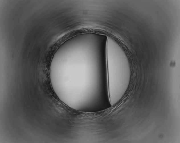 X0000101400822200807071027