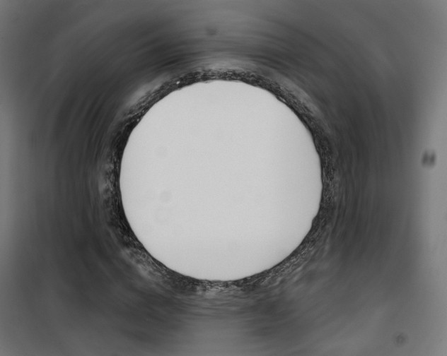X0000101400824200807071027