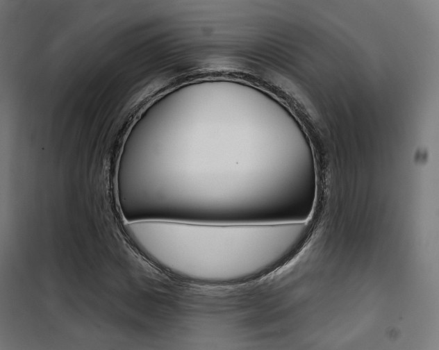 X0000101400825200807071027