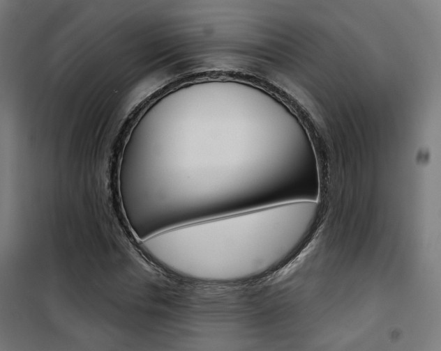 X0000101400826200807071027