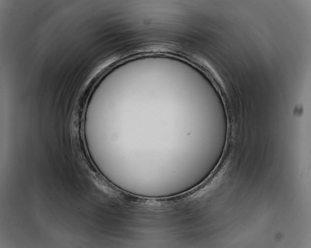 X0000101400827200807071027