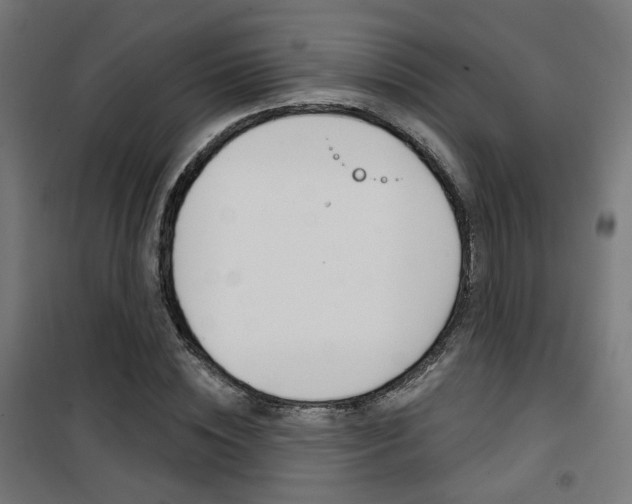 X0000101400828200807071027
