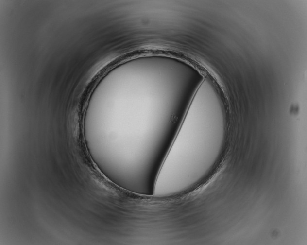 X0000101400829200807071027