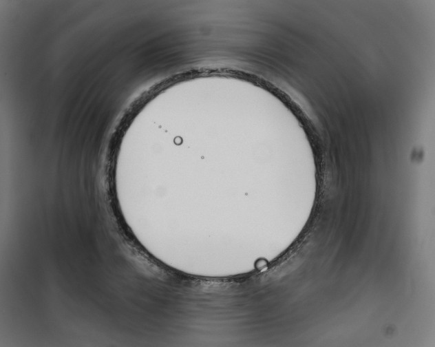 X0000101400832200807071027