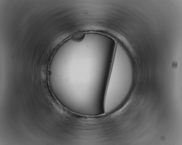 X0000101400833200807071027