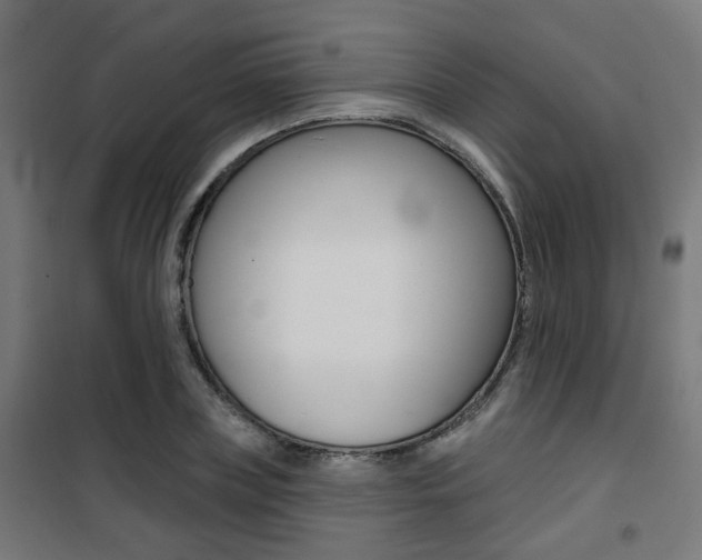 X0000101400835200807071027