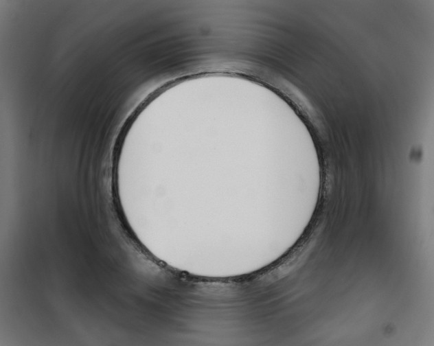 X0000101400836200807071027