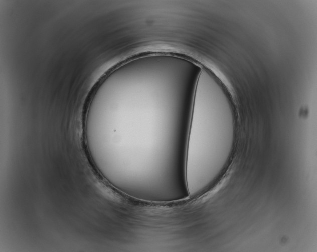 X0000101400837200807071027