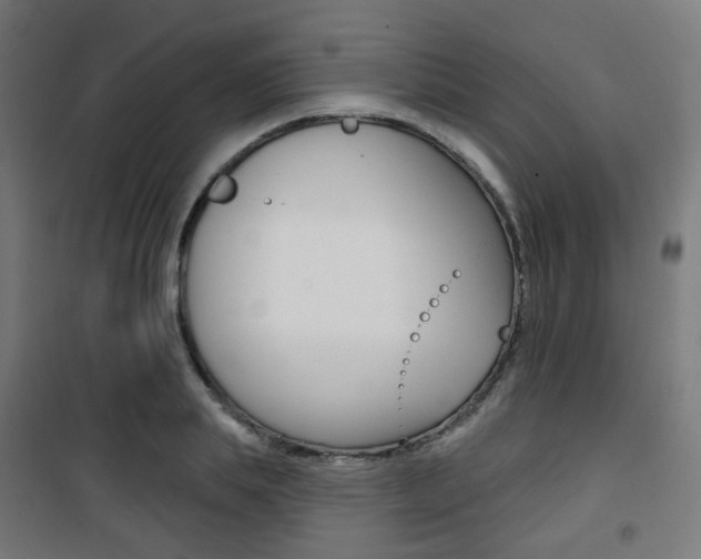X0000101400839200807071027
