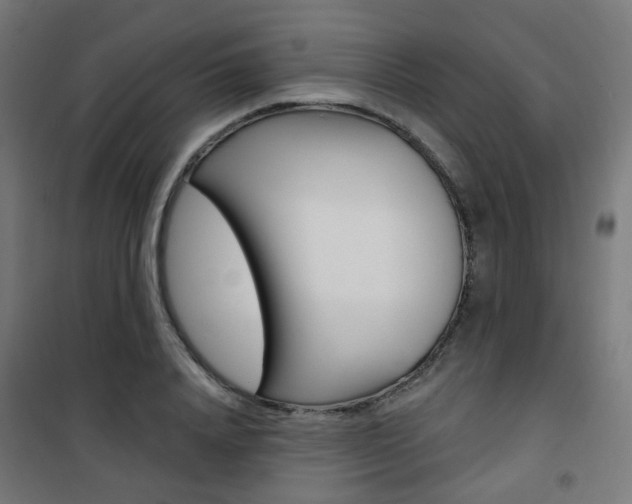 X0000101400840200807071027
