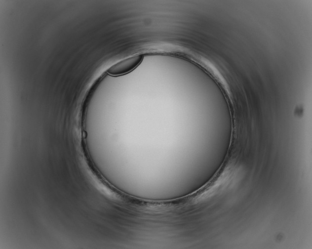 X0000101400843200807071027