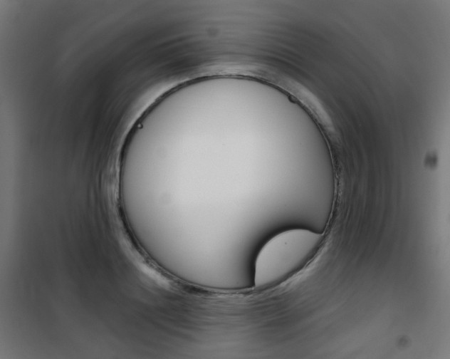 X0000101400844200807071027