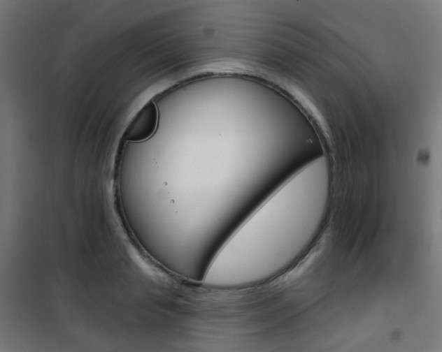 X0000101400845200807071027