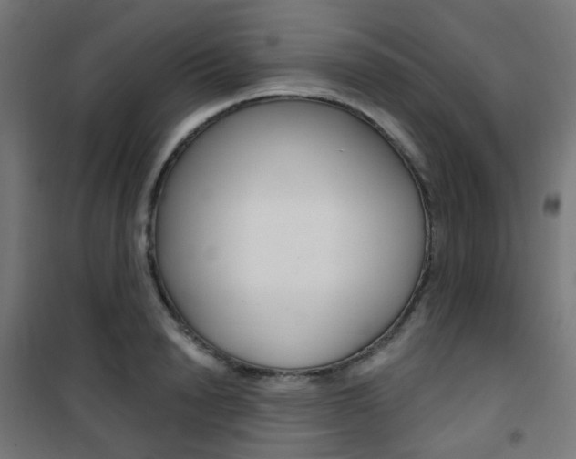 X0000101400846200807071027