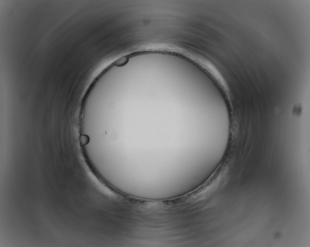 X0000101400847200807071028