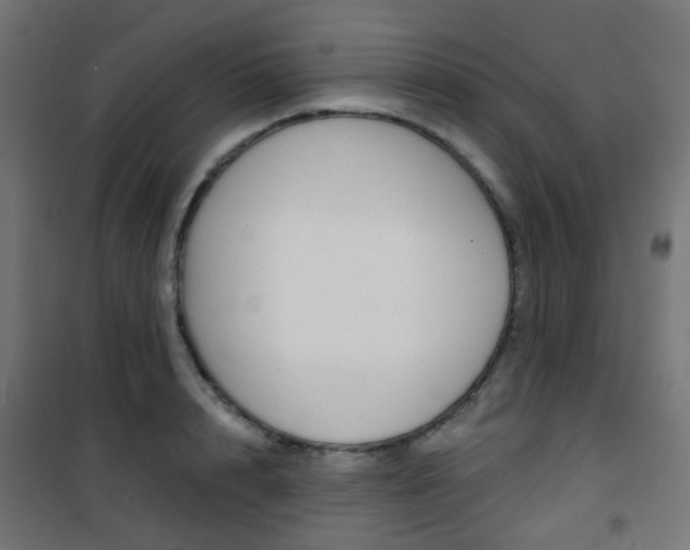X0000101400848200807071028