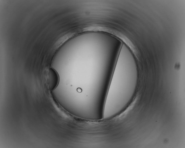 X0000101400849200807071028