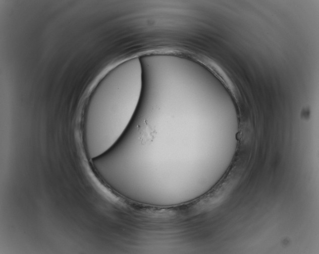 X0000101400851200807071028