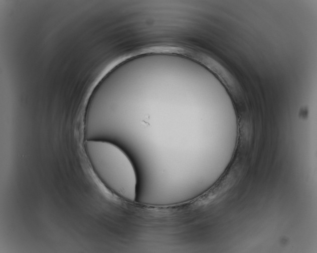 X0000101400852200807071028