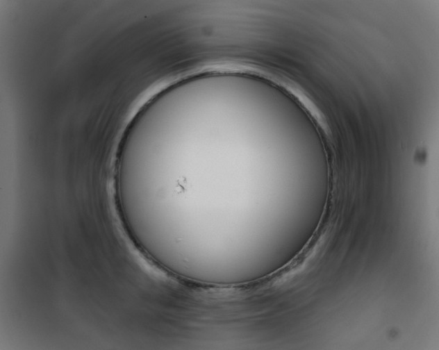 X0000101400853200807071028