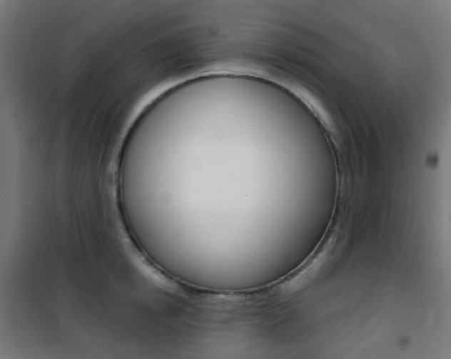 X0000101400854200807071028