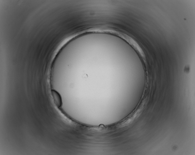 X0000101400855200807071028