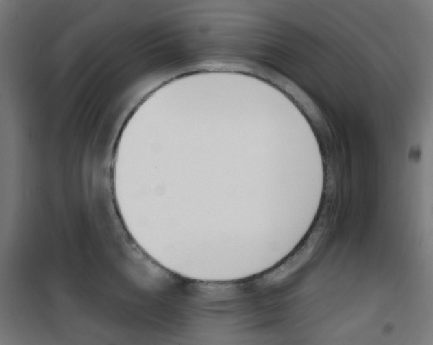 X0000101400856200807071028