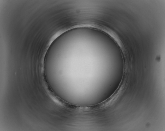 X0000101400858200807071028