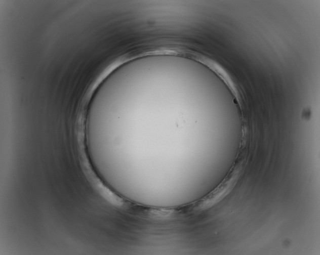 X0000101400859200807071028