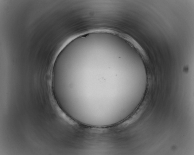 X0000101400860200807071028
