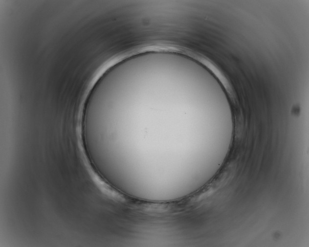 X0000101400861200807071028