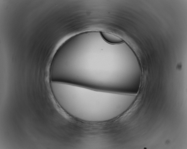 X0000101400862200807071028