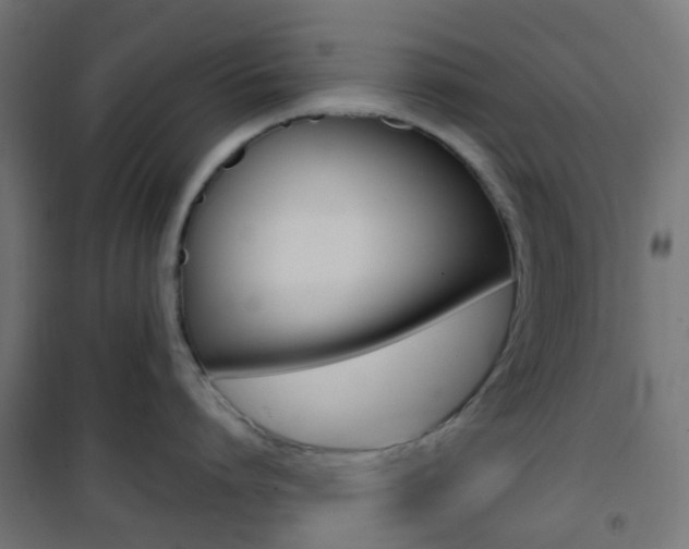 X0000101400864200807071028