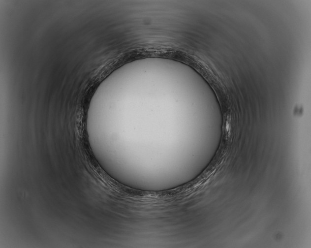 X0000101400867200807071027