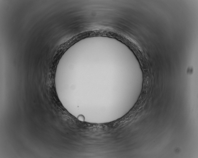 X0000101400869200807071027