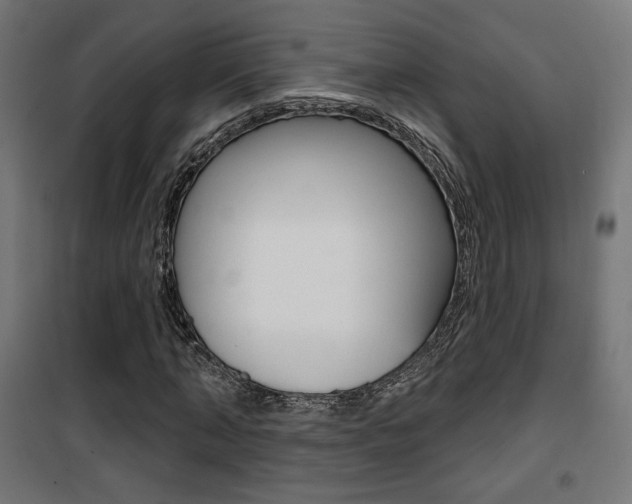 X0000101400870200807071027