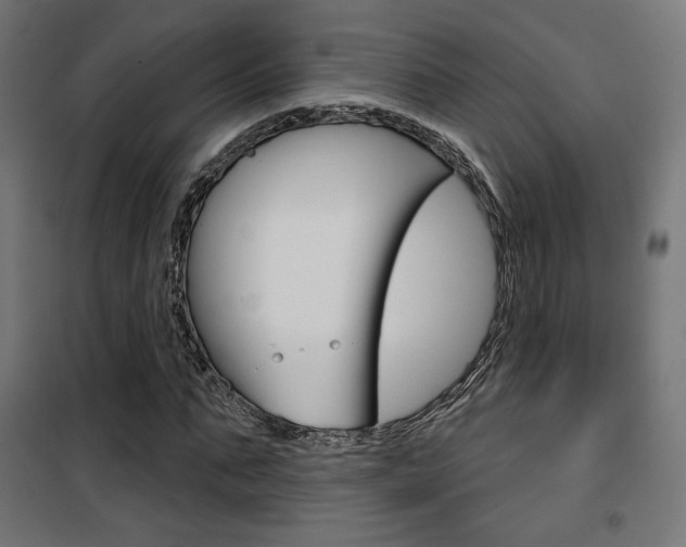 X0000101400871200807071027