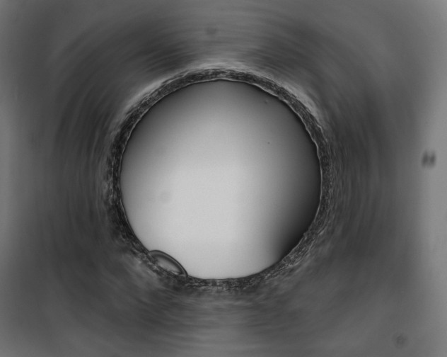 X0000101400872200807071027