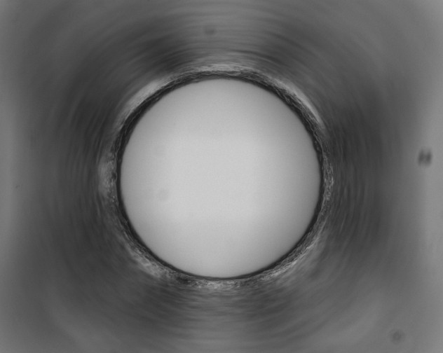 X0000101400874200807071027