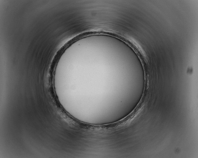 X0000101400876200807071027