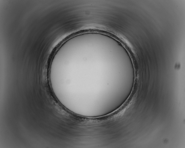 X0000101400877200807071027