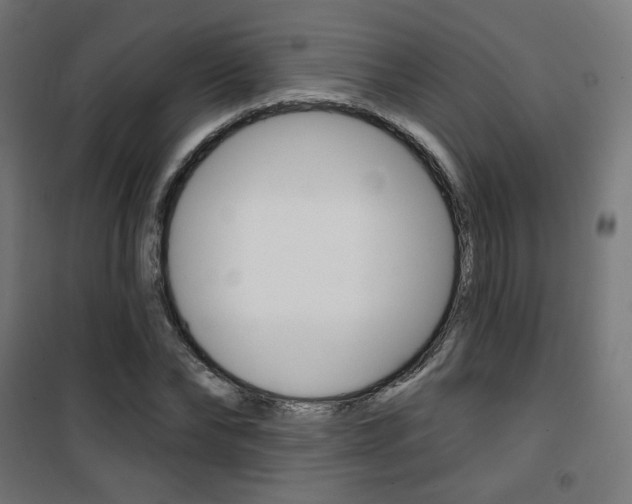 X0000101400878200807071027