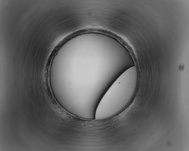 X0000101400879200807071027