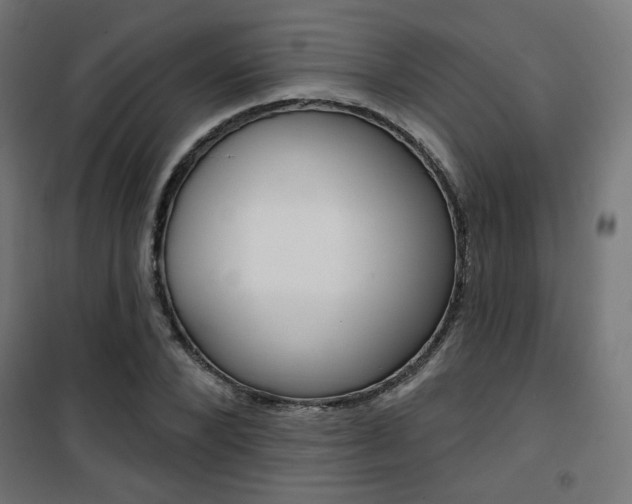 X0000101400880200807071027