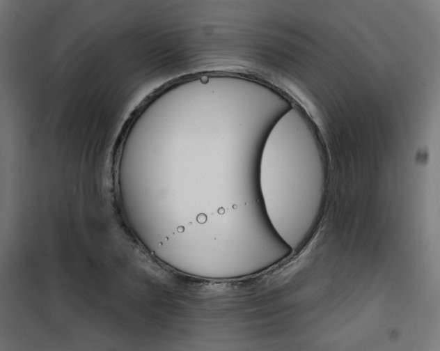 X0000101400883200807071027